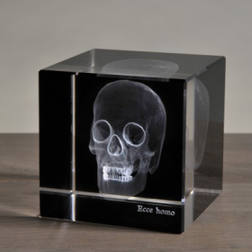 3D radiography of human skull in cube
