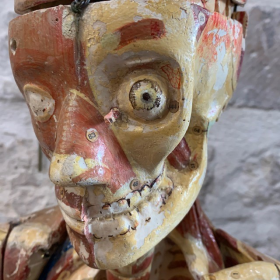 Mannequin clastique - écorché anatomique du Dr Auzoux