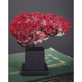 Red Coral: Tubipora Musica CO473-4