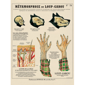FantasticCreatures and Fancies chart by Camille Renversades