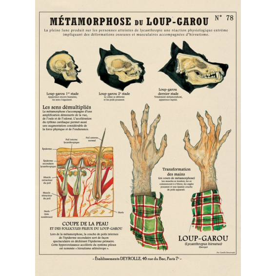 Affiche Créatures Fantastiques et Chimères