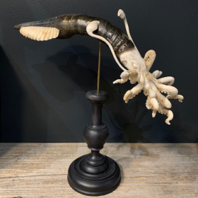 Calamar géant: Sculpture sur bois de cerf et corne de buffle (Pieuvre)