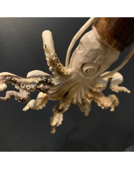 Giant squid: Sculpture on deer antlers and buffalo horn