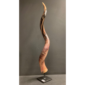 Koudou polished horn on pedestal