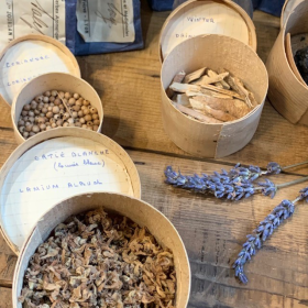 Boîte ancienne en bois d'herboristerie - Echantillon de plante, graine, écorce