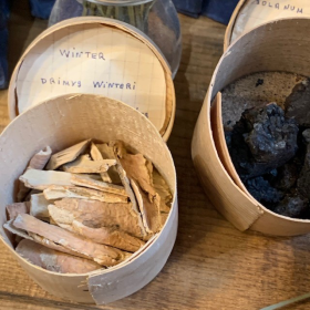 Antique wooden box for herbal medicine - Samples of plants, seeds, bark etc.