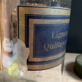 Pharmacy jar: Lignum Quillayae Saponaria - Panama wood - 19th century