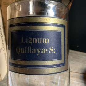 Lignum Quillayae Saponaria - Bois de Panama - Flacon de pharmacie fin XIXème