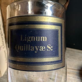 Pharmacy jar: Lignum Quillayae Saponaria - Panama wood - 19th century