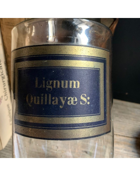 Pharmacy jar: Lignum Quillayae Saponaria - Panama wood - 19th century
