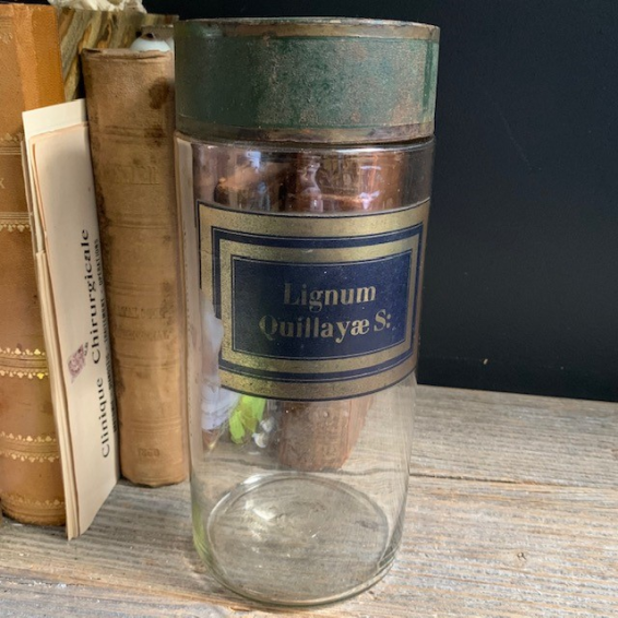 Pharmacy jar: Lignum Quillayae Saponaria - Panama wood - 19th century