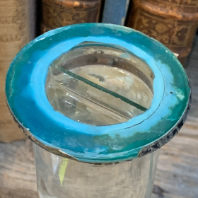 Museum jar - Wet specimen - Soft coral Alcyonium palmatum