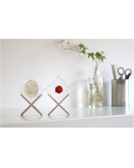 Display stand for resin botanical inclusion - Sola Cube - Beech wood