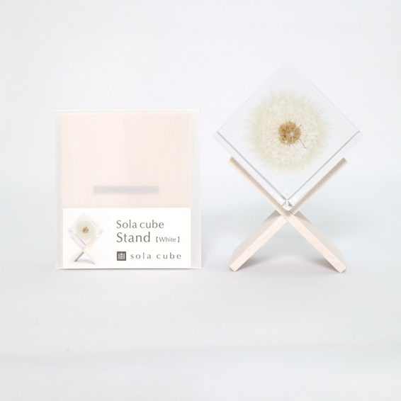 Display stand for resin botanical inclusion - Sola Cube - Beech wood