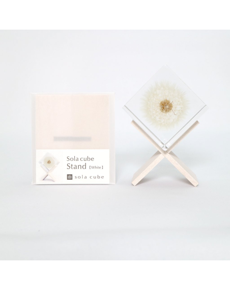 Display stand for resin botanical inclusion - Sola Cube - Beech wood