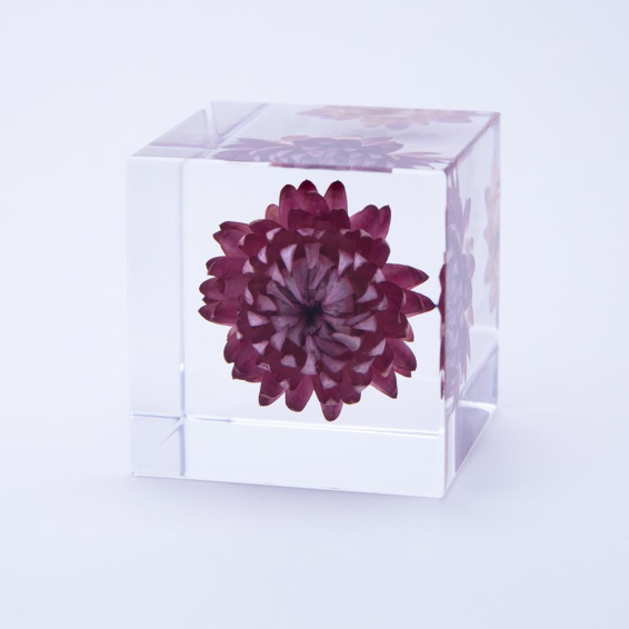 Sola Cube Sola Cube