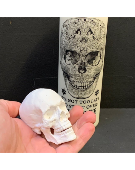 Very realistic small human skull in plaster - Memento mori - Vanity