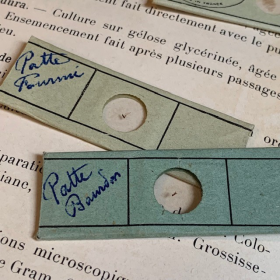 Antique preparation slide for microscope - OPTICO