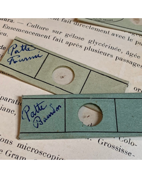 Antique preparation slide for microscope - OPTICO