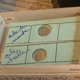 Antique preparation slide for microscope - OPTICO