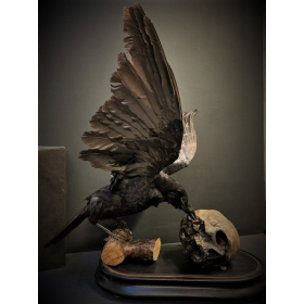 Vanitas: Crow on human skull replica on base