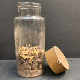 Asa-fœtida (Gomme résine) / Ase fétide - Flacon de pharmacie - Herboristerie en verre soufflé - XIXème siècle