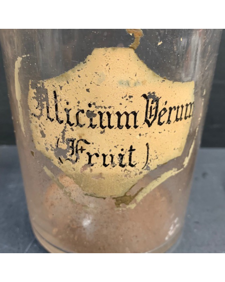 Antique pharmacy - Herbalist jar: Juniperus communis (Berry) / Juniper - 19th century