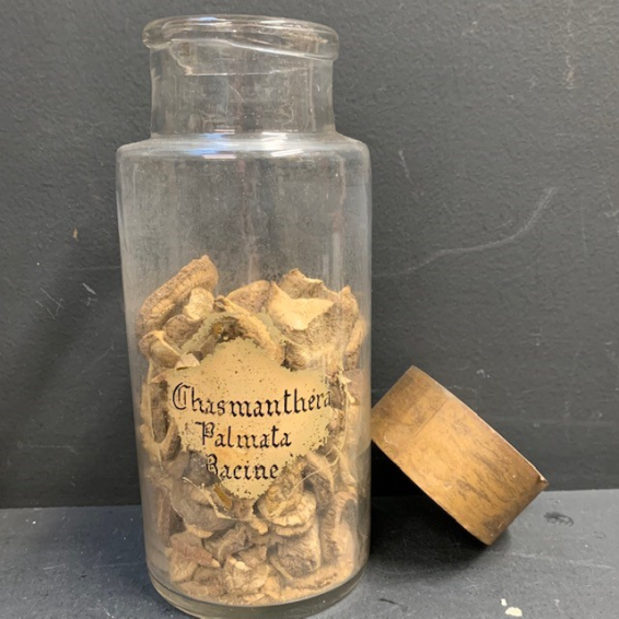 Antique pharmacy or herbalist jar: Chasmanthera palmata (Roots) / Columbo - 19th century