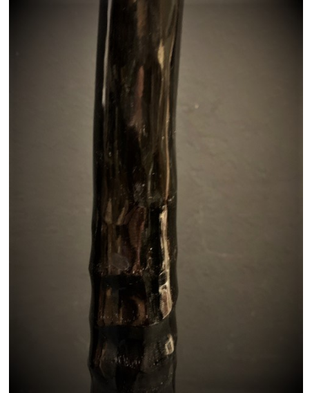 South African Oryx horn polished on base