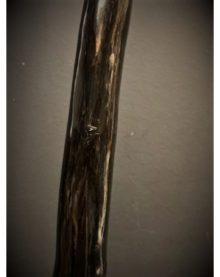 South African Oryx horn polished on base