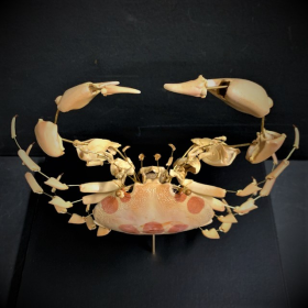 Eclaté de Crabe à taches rouges (Carpilius maculatus) sous vitrine de verre par I Will Never Die