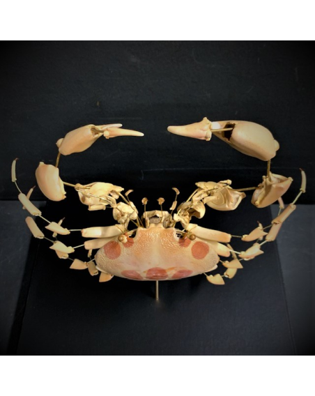 Eclaté de Crabe à taches rouges (Carpilius maculatus) sous vitrine de verre par I Will Never Die