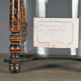 Herbalist jar: Sage - XIXth century