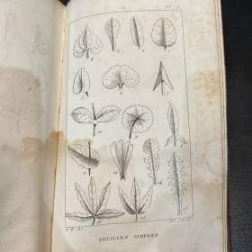 Nouveaux élémens de Botanique - Achille Richard - Livre ancien de 1828
