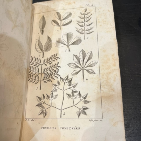 Nouveaux élémens de Botanique - Antique botanic book of 1828 - Achille RICHARD