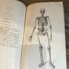 Anthropology - Study of organs - Anatomical Atlas - 1848 - 2 volumes