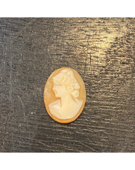 Antique cameo on shell - 19th century