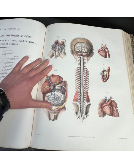 L'Anatomie de L'Homme - by Bourgery and Jacob - 1854 - Volume 8: Embryogenesis and Atlas