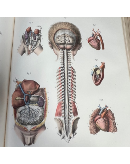 L'Anatomie de L'Homme - Tome 8: Embryogénie et son Atlas - Par le Dr Bourgery et le dessinateur Jacob - 1854