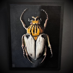 "Goliathus cacicus": Painting by CB