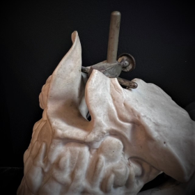 Human jaws in porcelain mounted on a Napoleon III base - Anatomical model - XIXth century