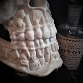 Human jaws in porcelain mounted on a Napoleon III base - Anatomical model - XIXth century