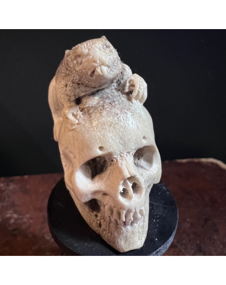 Memento Mori on base - Skull carved in deer antlers