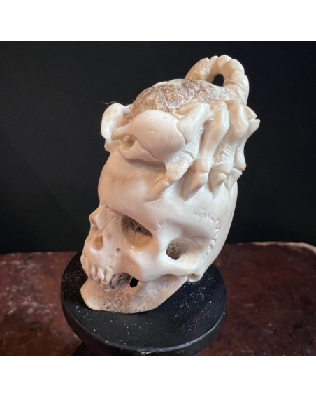 Memento Mori on base - Skull carved in deer antlers