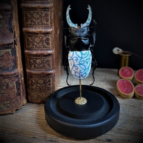 Stag beetle painted by Mandrin Valet - White and blue porcelain - Painted insect