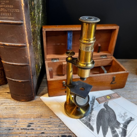 Brass straight column microscope - 19th century