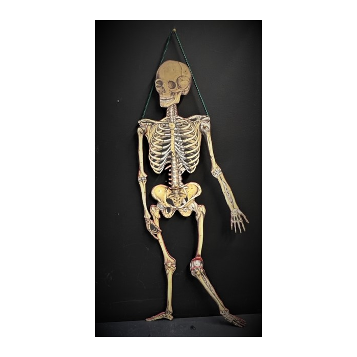 Articulated Skeleton Papercardboard articulated mannequin