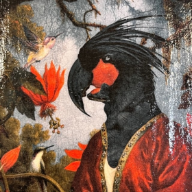 Médaillon anthropomorphique par John Byron - Cacatoès noir - Black Cockatoo