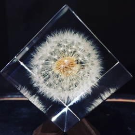 Sola Cube
