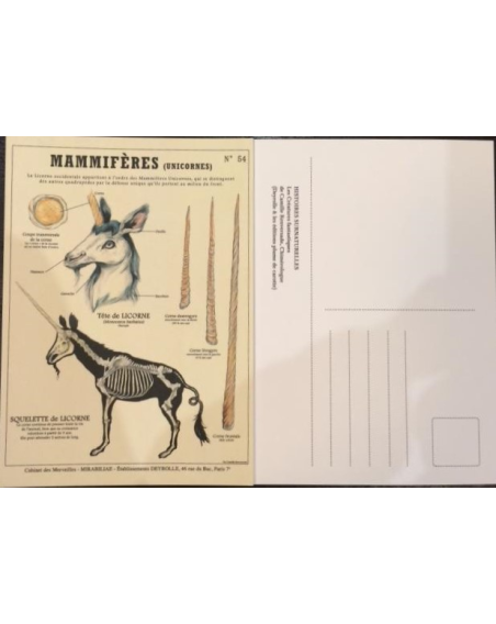 Carte Postale Créatures Fantastiques et Métamorphoses